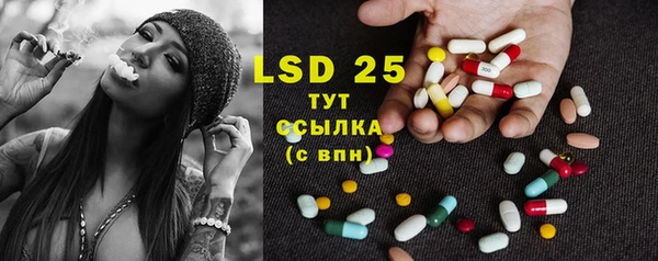 прущие грибы Волосово