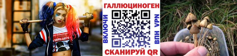 Галлюциногенные грибы мухоморы MEGA маркетплейс Гусь-Хрустальный