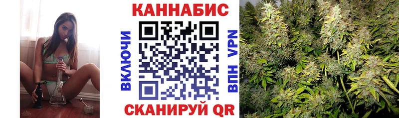Шишки марихуана сатива где купить наркотик Гусь-Хрустальный